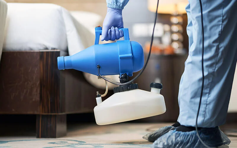 Cleaning Services, Carpet Shampooing Services, Office Cleaning Services, Hotel Cleaning Services, Disinfectants